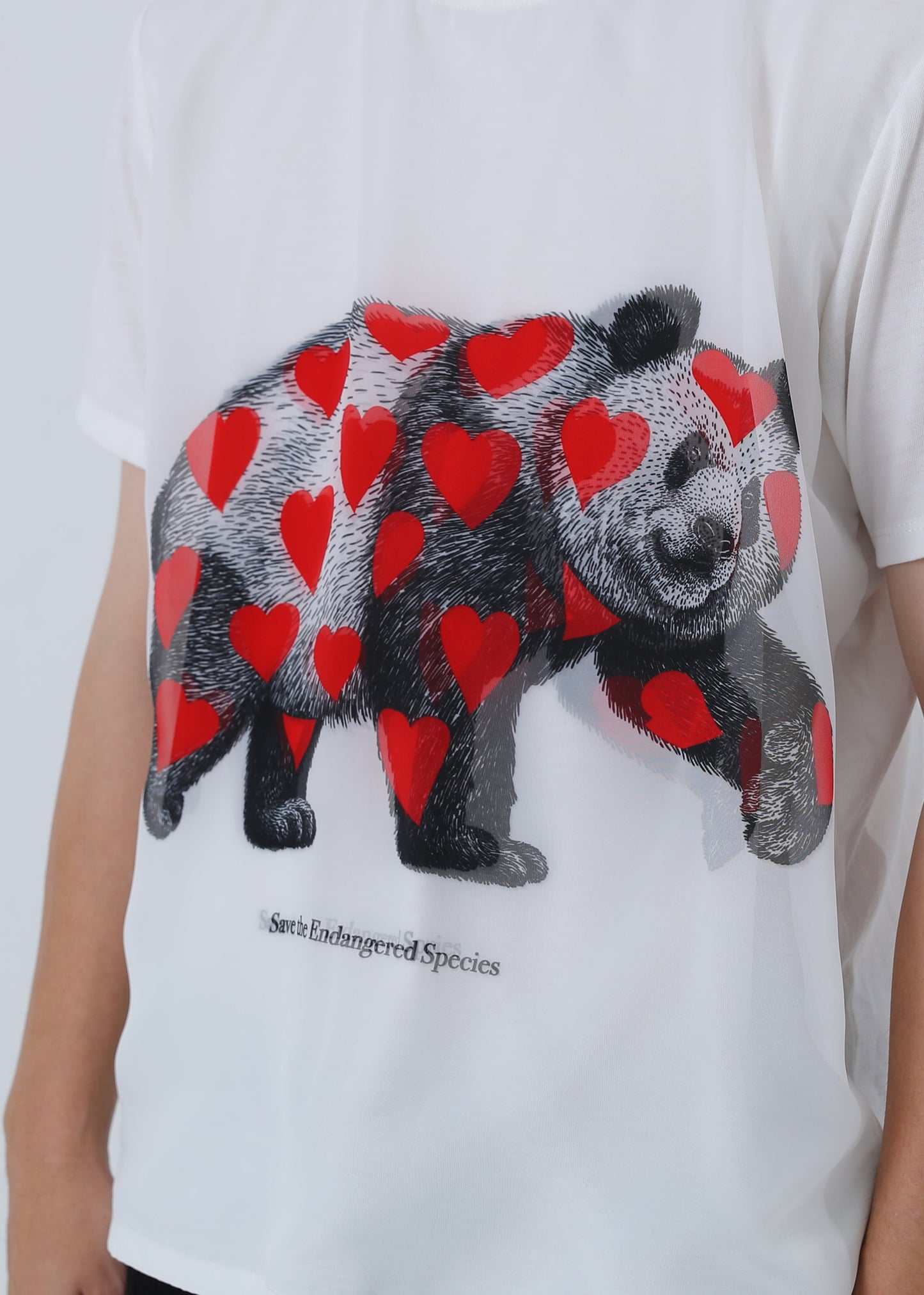 PANDA RED LIST MX-1459 TR-004
