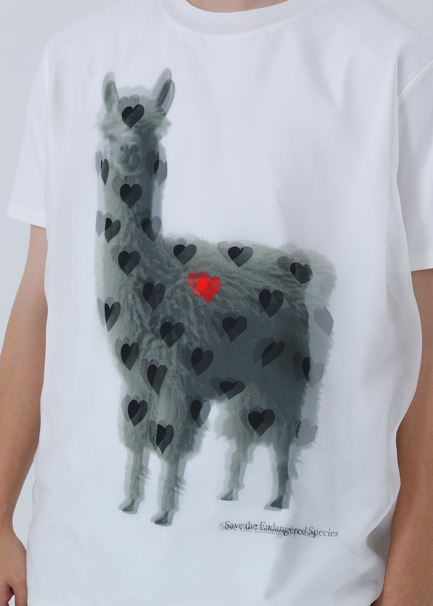 ALPACA RED LIST TR-007