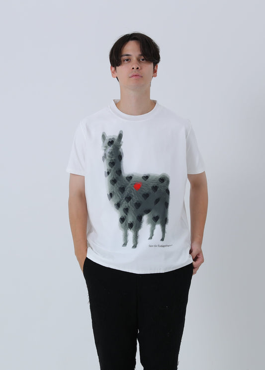 ALPACA RED LIST TR-007