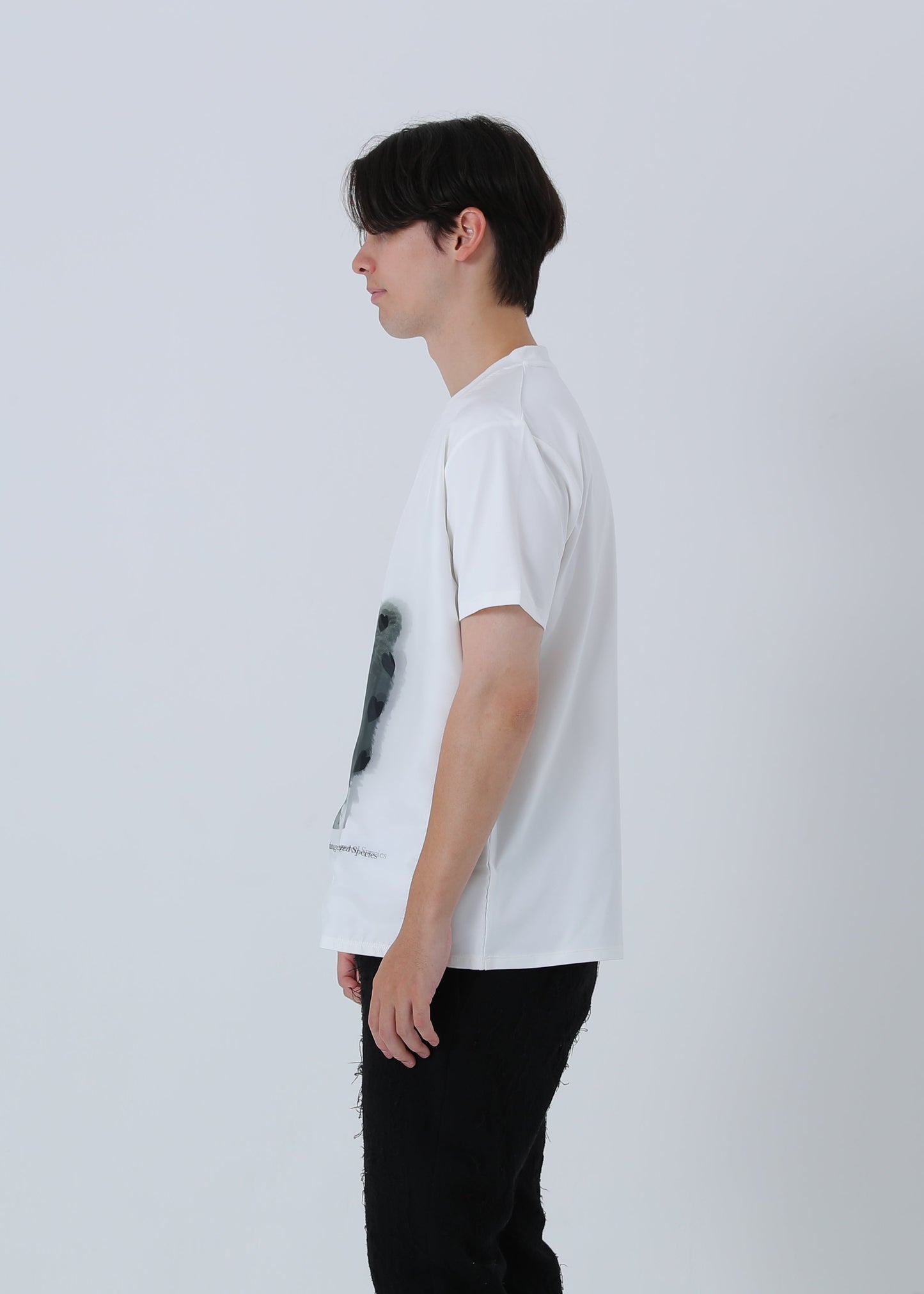 ALPACA RED LIST TR-007