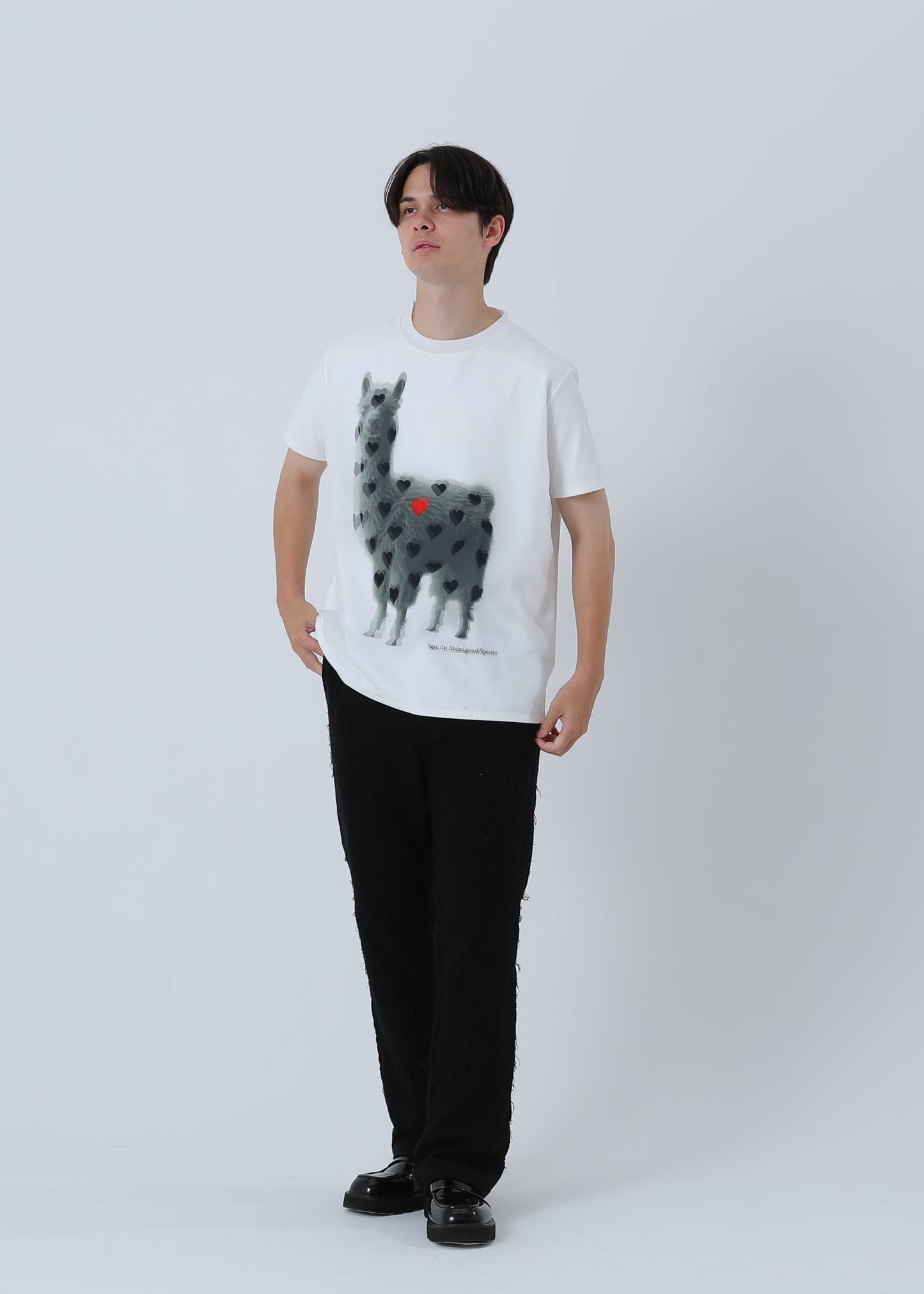 ALPACA RED LIST TR-007