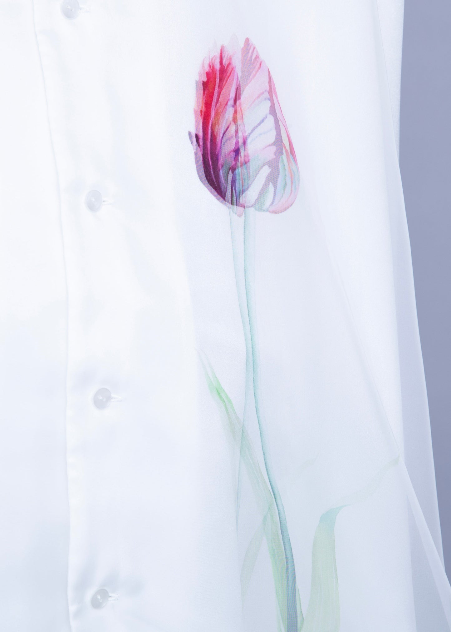 TULIP TR-031 WHITE