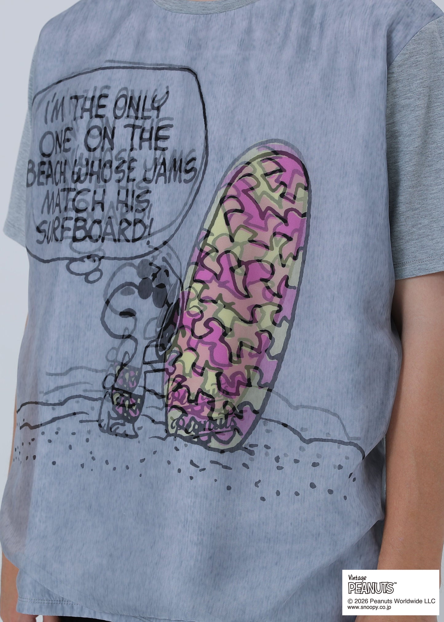 SNOOPY ON THE BEACH TR-099 BLUE GRAY