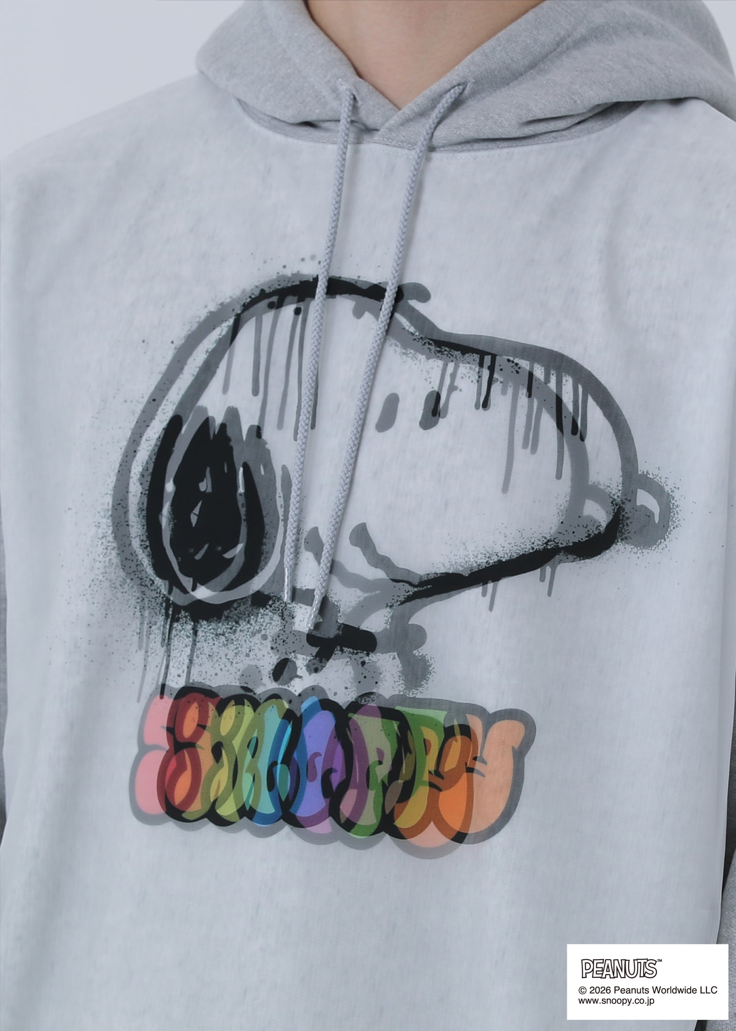 PEANUTS SNOOPY SPRAY ART TR-057 GRAY